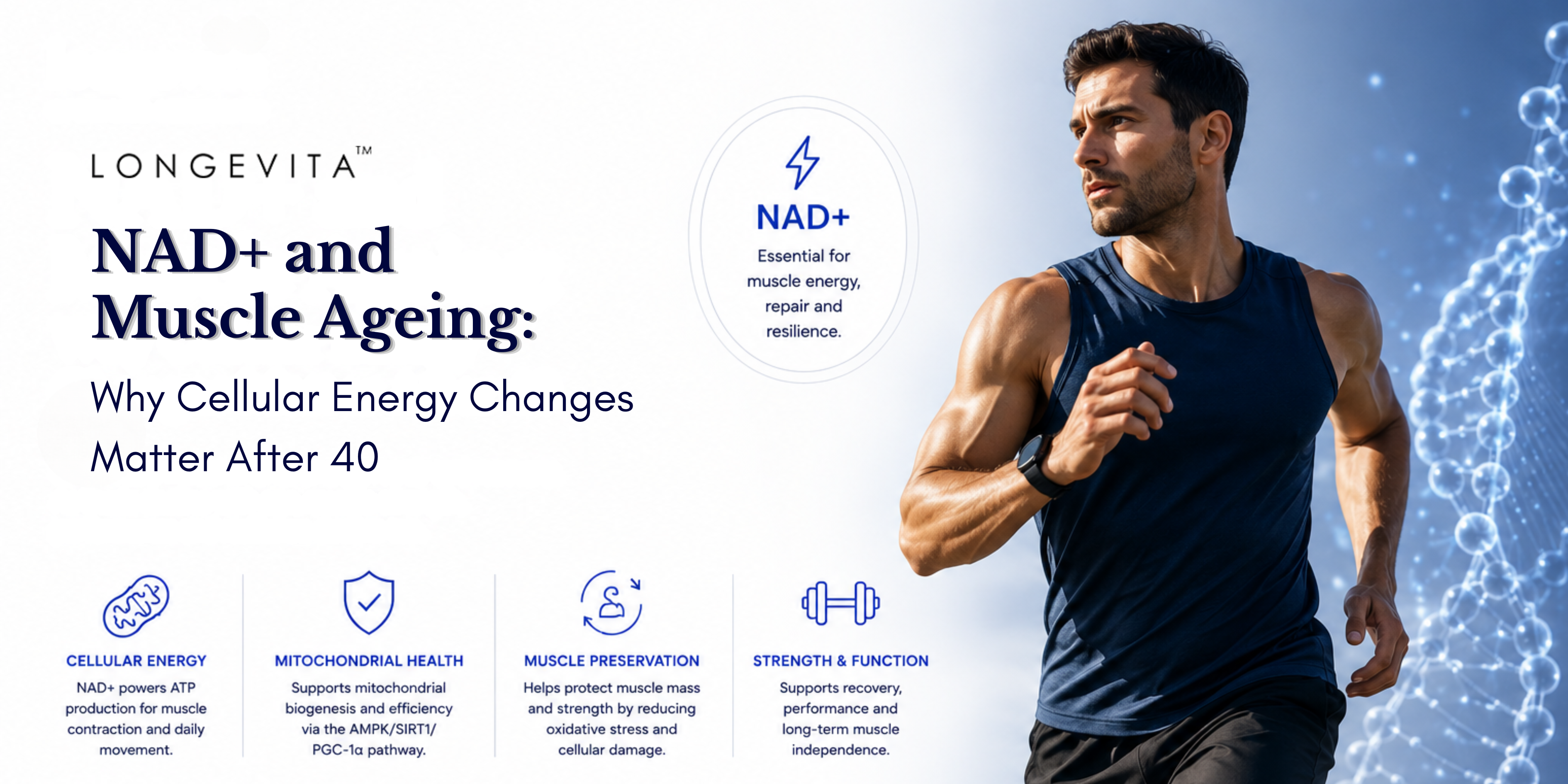 NAD+ and Muscle Ageing: Why Cellular Energy Changes Matter After 40