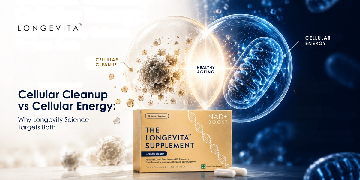 Cellular Cleanup vs Cellular Energy: Why Longevity Science Targets Both