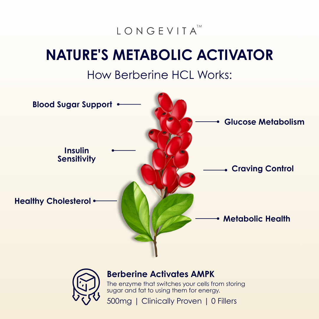 LONGEVITA™ BERBERINE