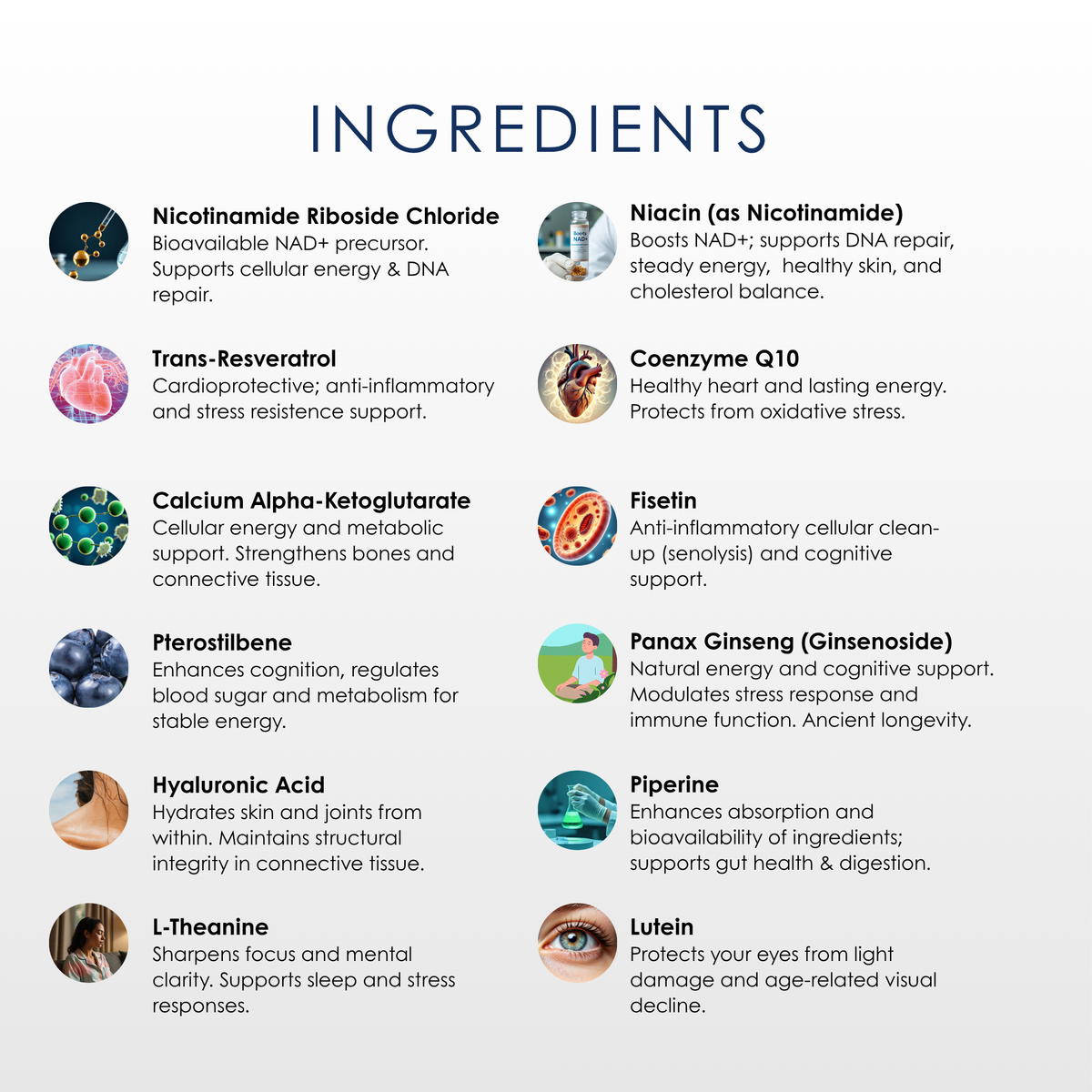 The Longevita™ Supplement