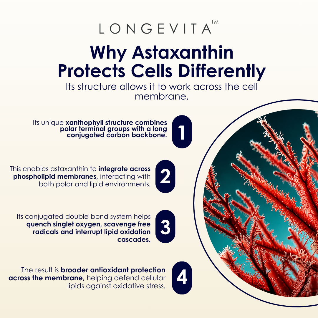 Longevita™ Astaxanthin