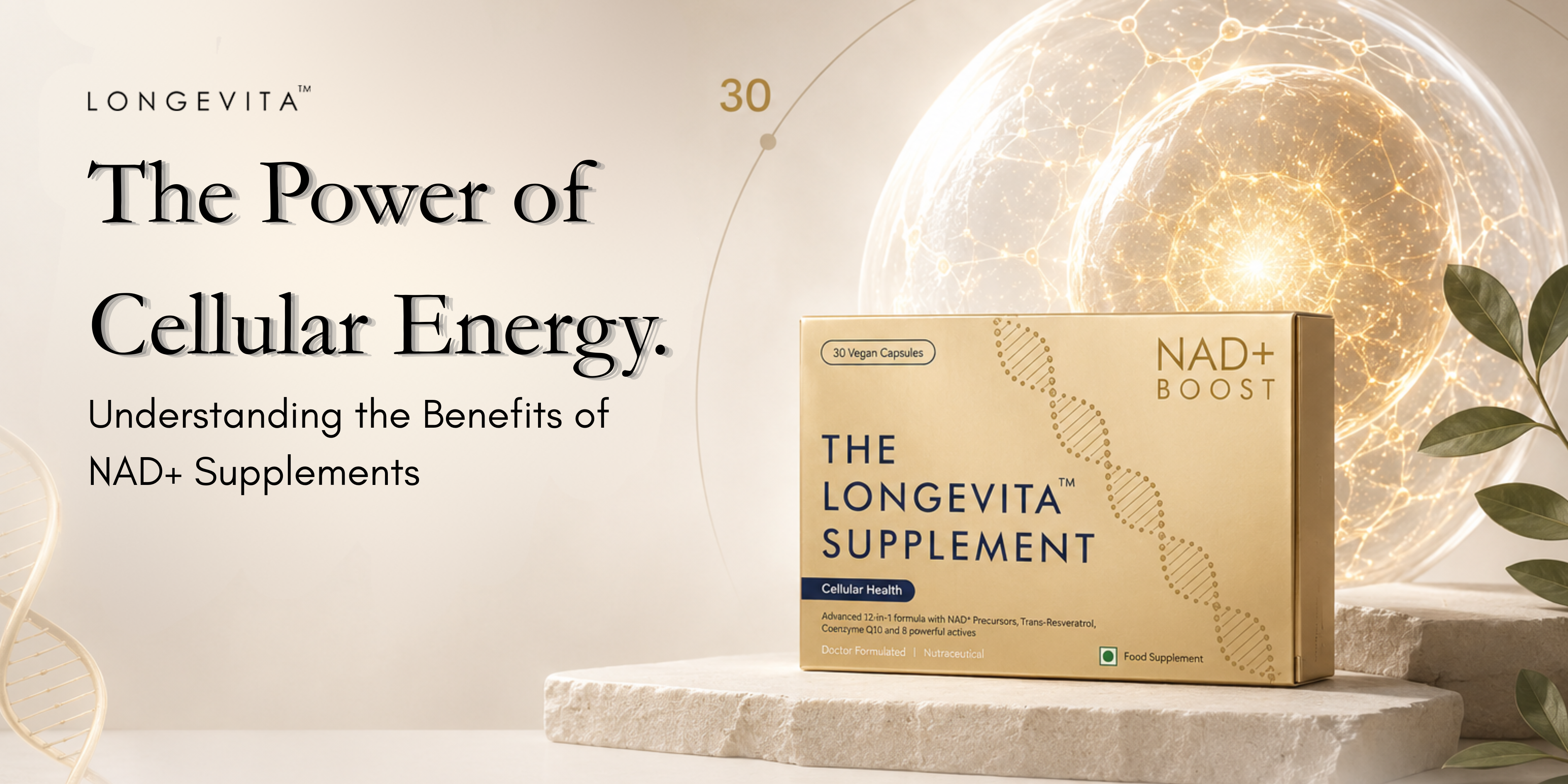 The Power of Cellular Energy: Understanding the Benefits of NAD+ Supplements