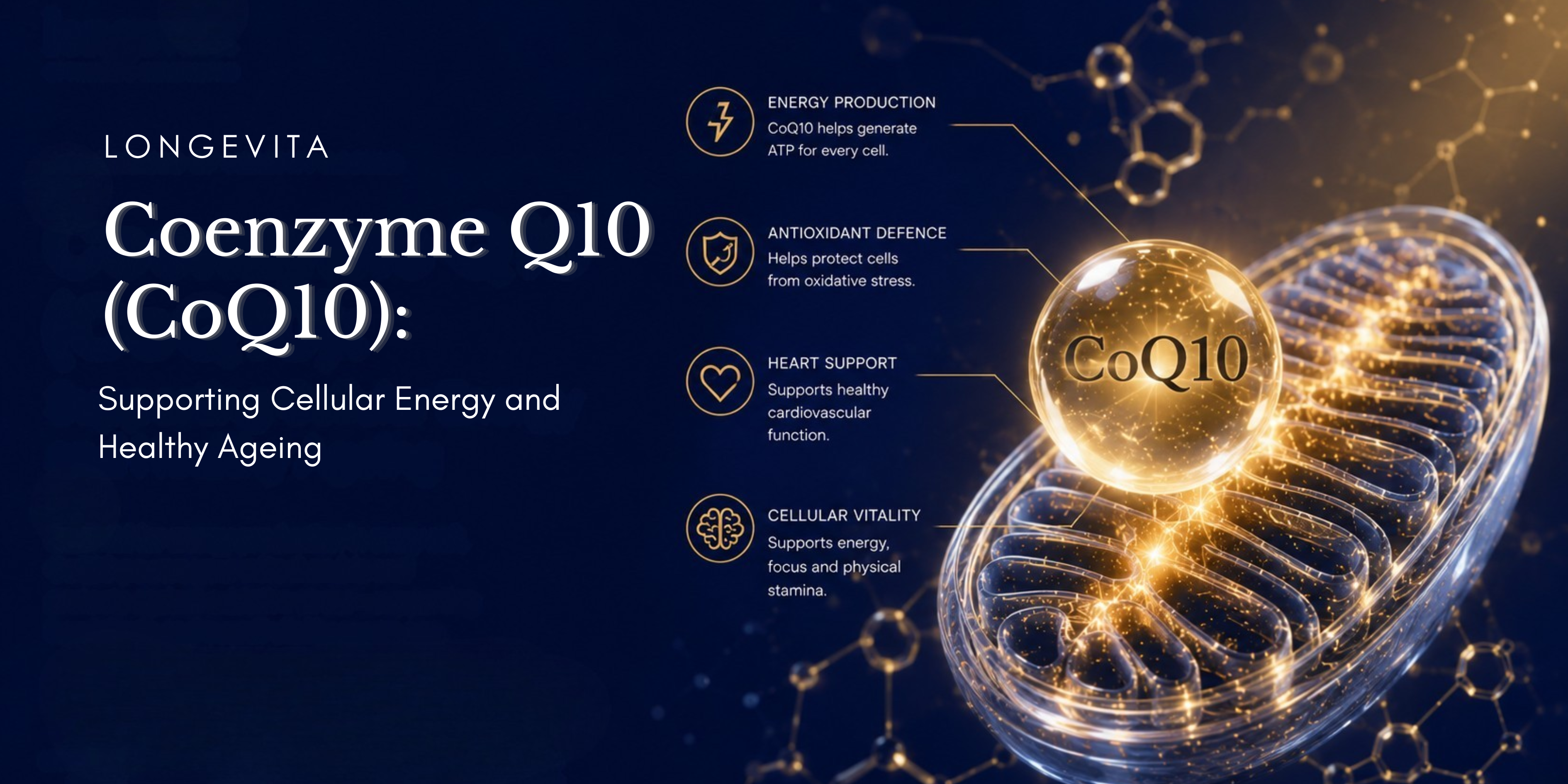 Coenzyme Q10 (CoQ10): Supporting Cellular Energy and Healthy Ageing