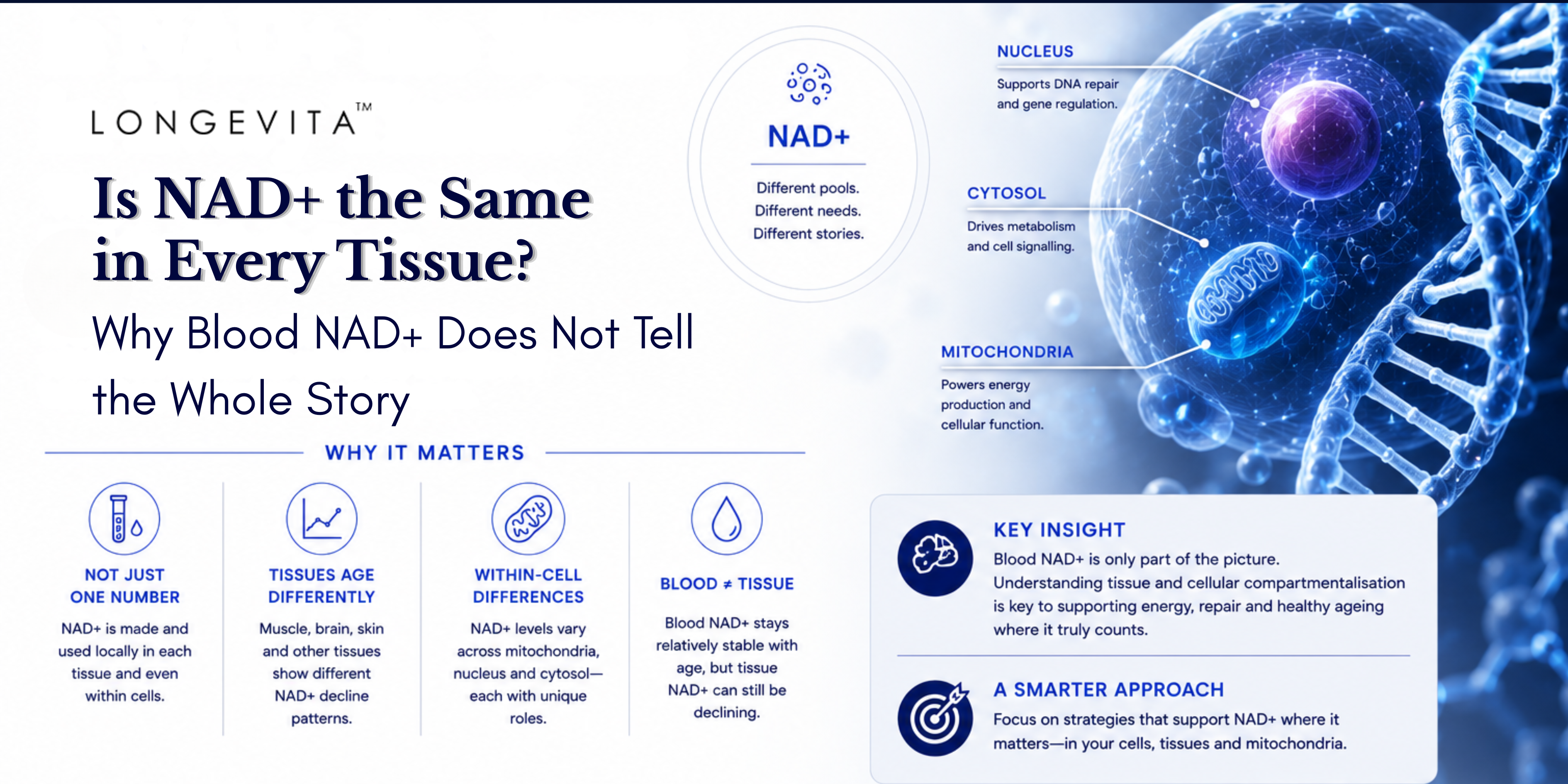 Is NAD+ the Same in Every Tissue? Why Blood NAD+ Does Not Tell the Whole Story