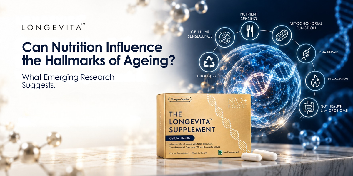 Can Nutrition Influence the Hallmarks of Ageing? What Emerging Research Suggests