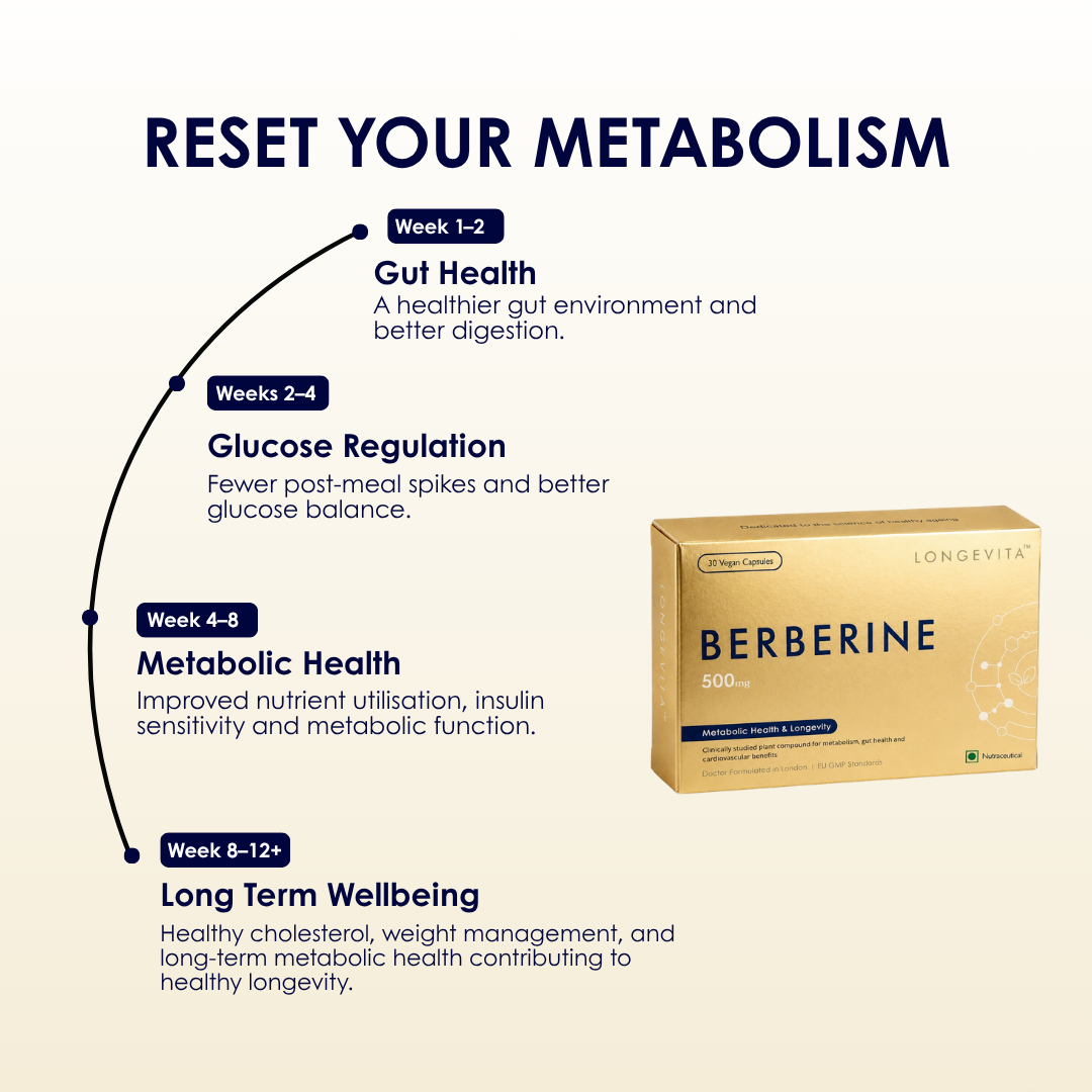 LONGEVITA™ BERBERINE