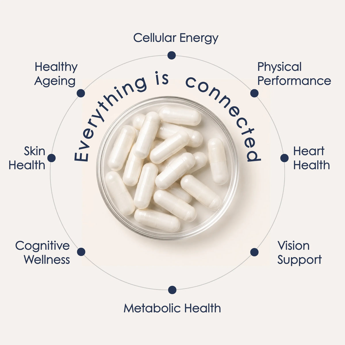 The Longevita™ Supplement